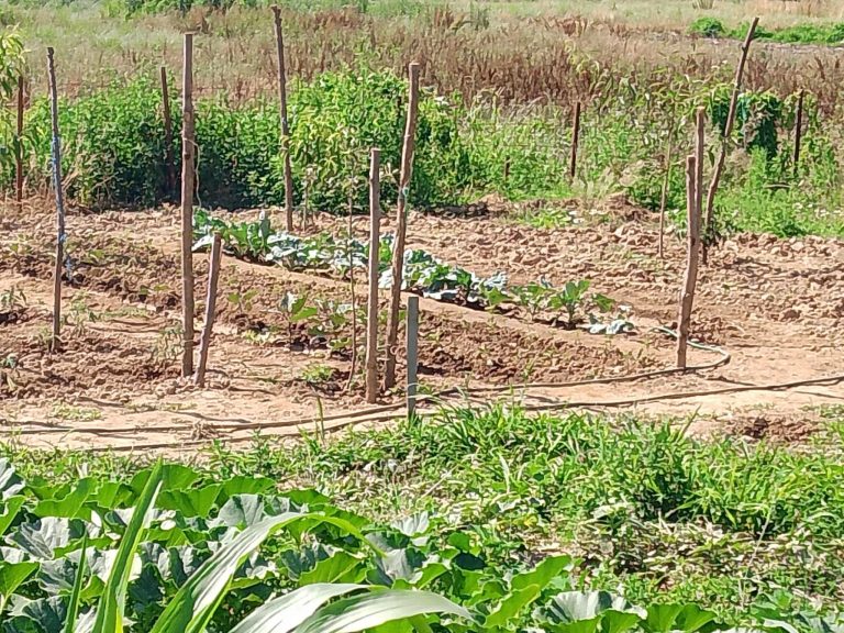 Drejtori i Ujësjellësit, Zeqiri me apel: Në këto ditë të nxehta vere, ju lutemi që të bëni kujdes me përdorimin e ujit , shfrytëzojeni me mençuri dhe shmangni shpërdorimin