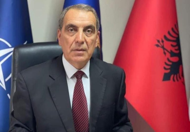 Hynë në lojë figura të reja/ BDI në hall me kandidaturën në Bogovinë, Besnik Emshiu vlerësohet dobët në anketa