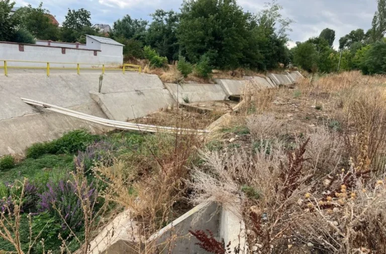 Ropalca e revoltuar me Erkan Arifin: Na rrezikohen fëmijët, fshati jonë u harrua
